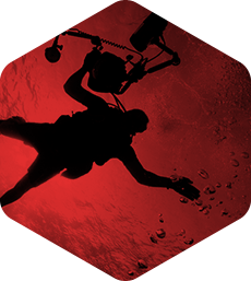 【win11】兼容的手机号轰炸服务